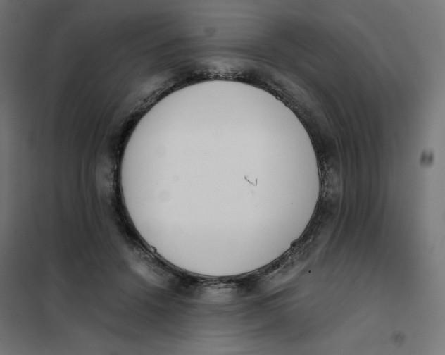 X0000101390456200807280941