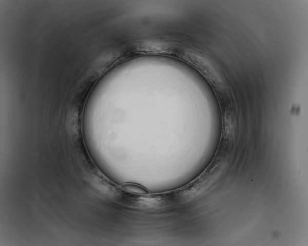 X0000101390457200807280941