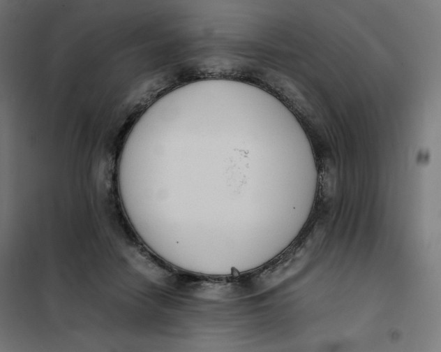 X0000101390458200807280941