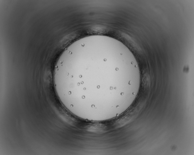 X0000101390459200807280942