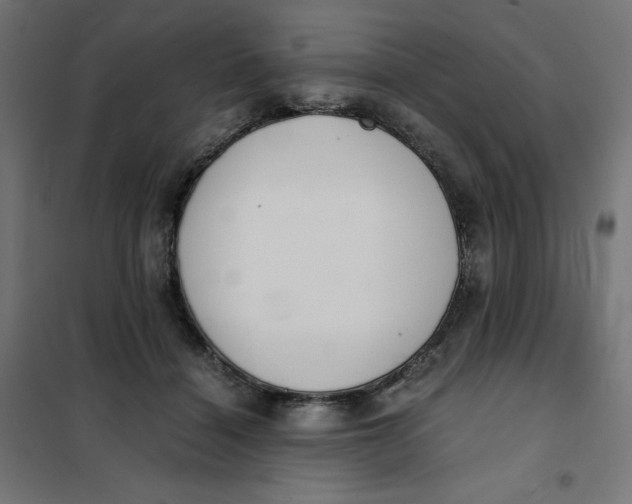 X0000101390460200807280942