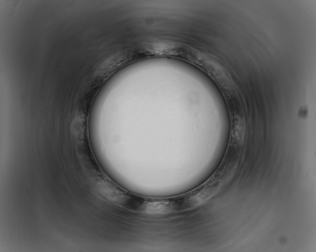 X0000101390461200807280942