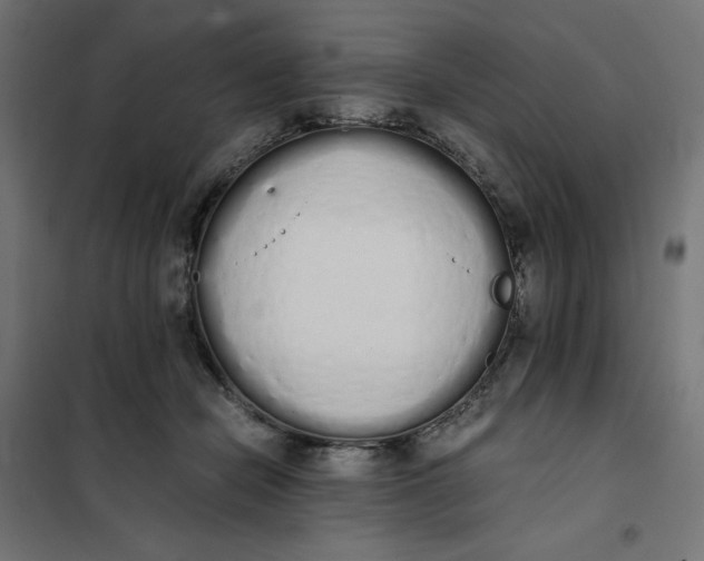 X0000101390462200807280942
