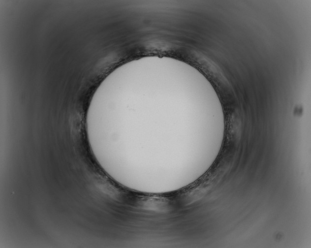 X0000101390463200807280942