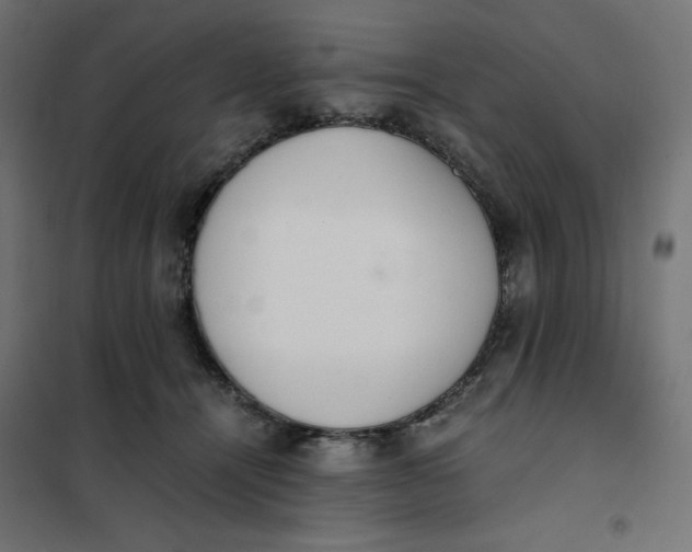 X0000101390464200807280942