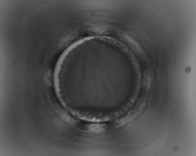 X0000101390465200807280942