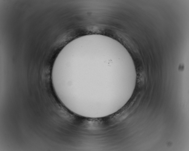 X0000101390466200807280942