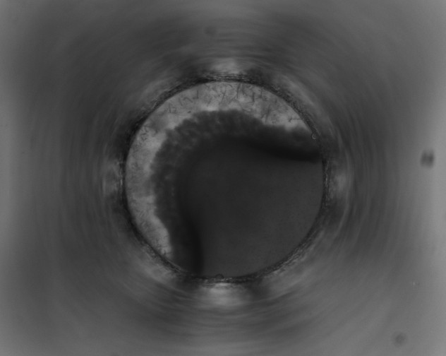 X0000101390467200807280942