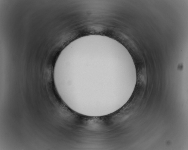 X0000101390468200807280942