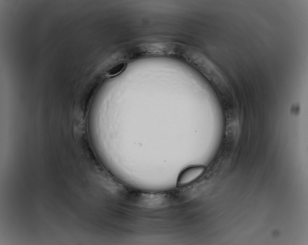 X0000101390469200807280942