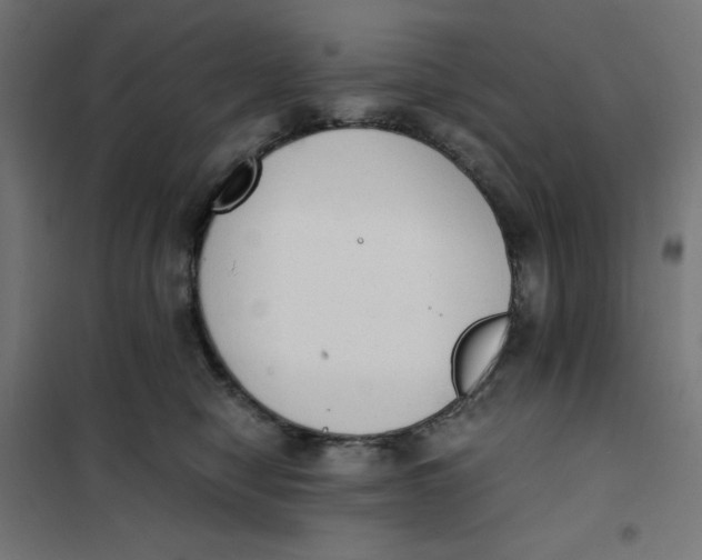 X0000101390470200807280942