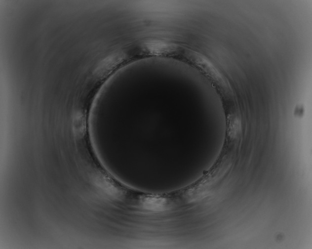 X0000101390471200807280942