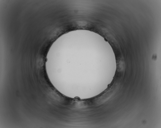 X0000101390472200807280942