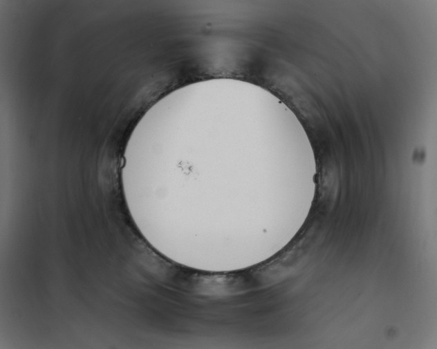 X0000101390473200807280942