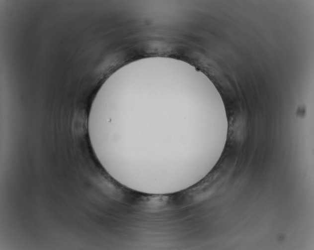 X0000101390474200807280942