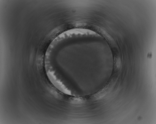 X0000101390475200807280942