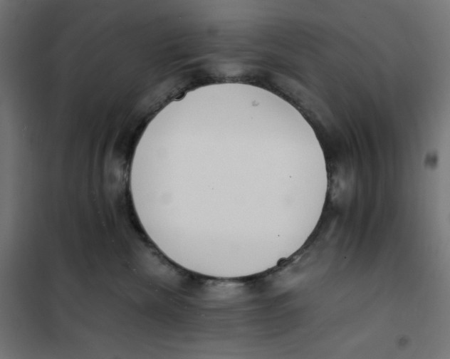 X0000101390476200807280942