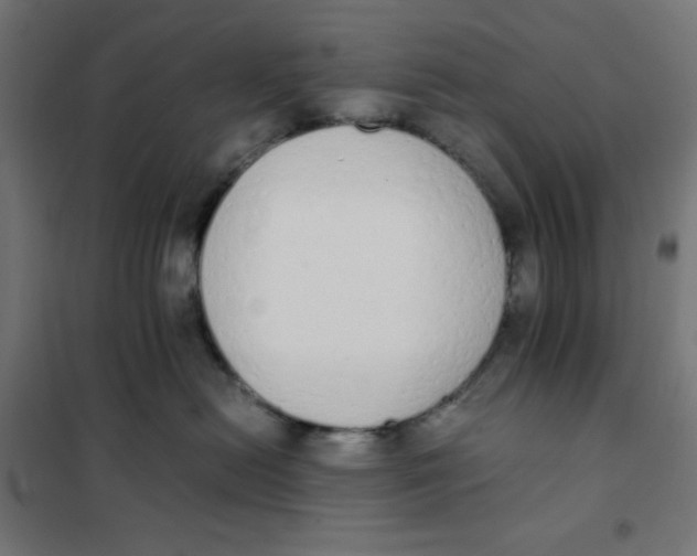 X0000101390478200807280942