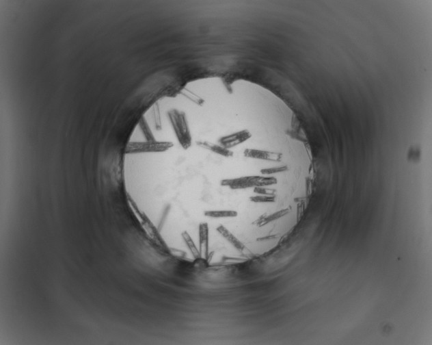 X0000101390479200807280942