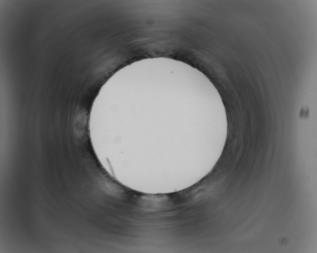 X0000101390480200807280942