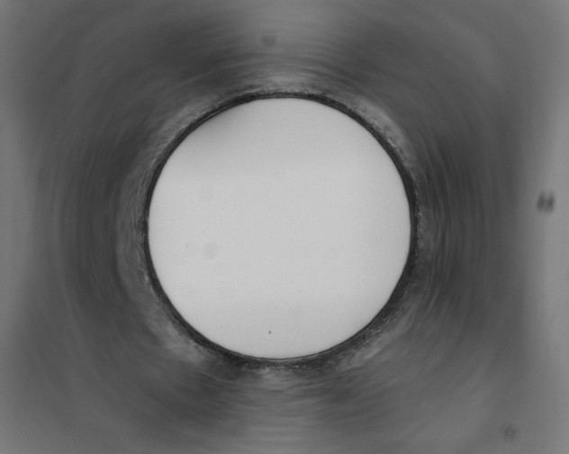 X0000101390481200807280941