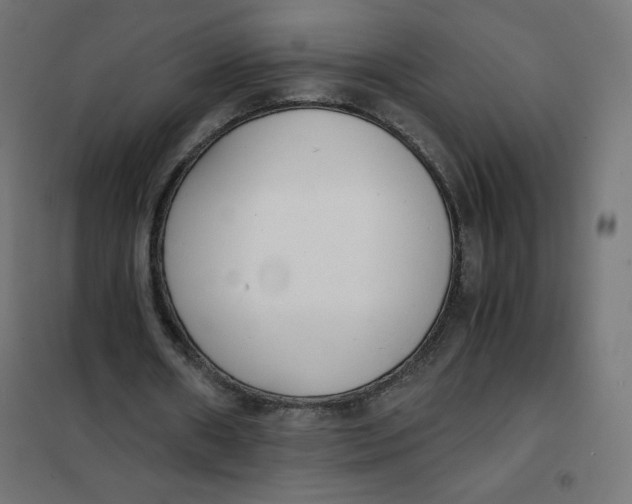 X0000101390482200807280941