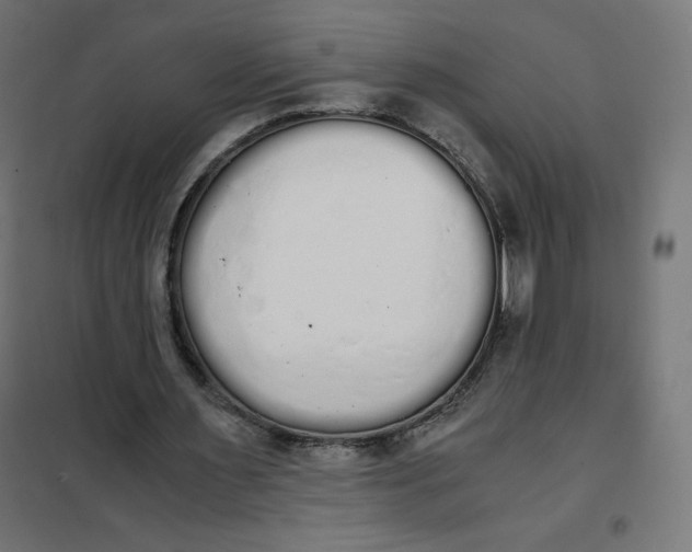 X0000101390483200807280941