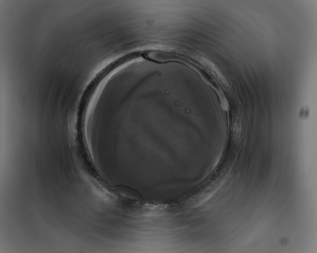 X0000101390484200807280941