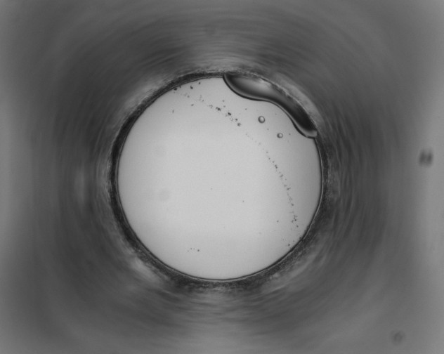 X0000101390485200807280941