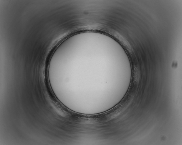 X0000101390486200807280941