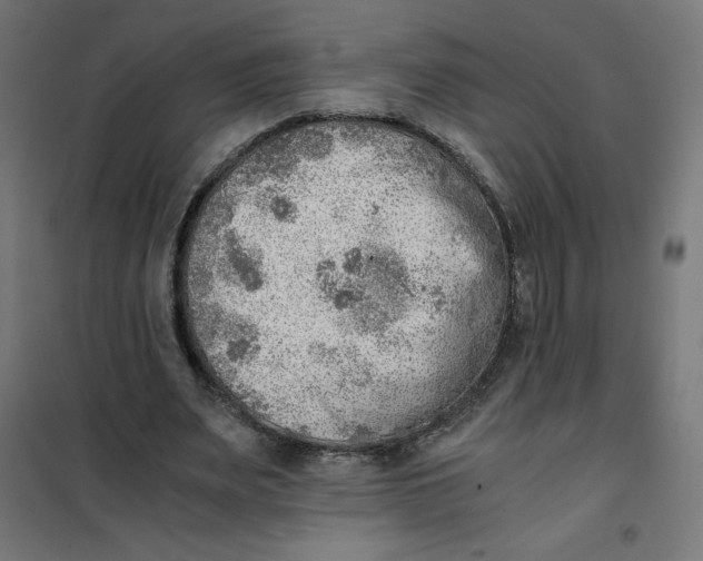 X0000101390487200807280941