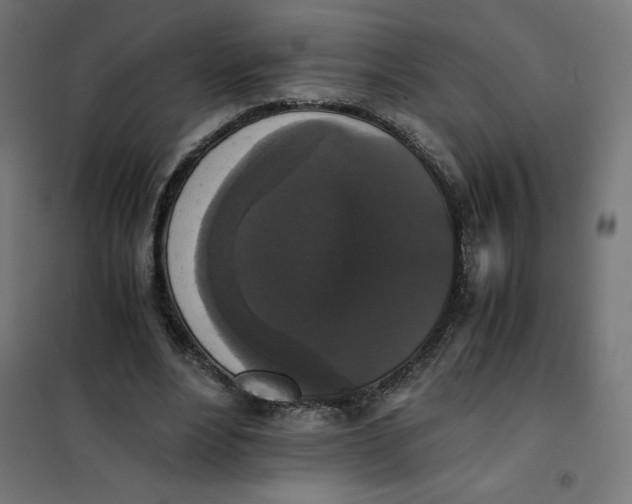 X0000101390488200807280941