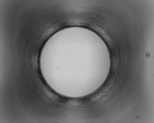 X0000101390489200807280941