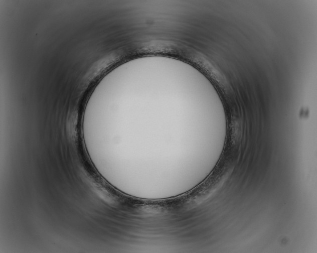 X0000101390490200807280941