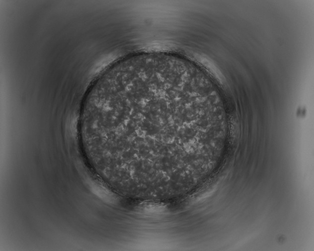 X0000101390491200807280941
