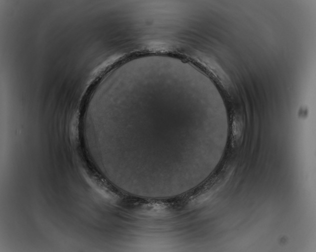 X0000101390492200807280941