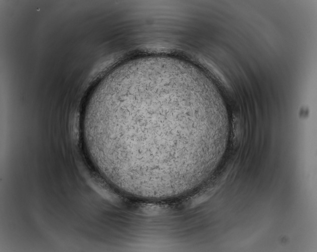 X0000101390494200807280941