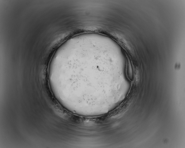 X0000101390495200807280941