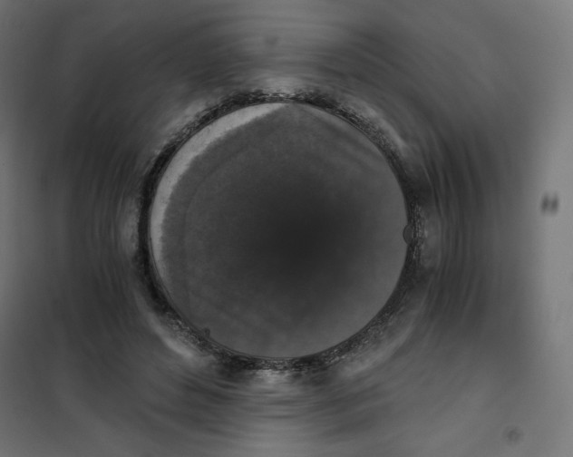 X0000101390496200807280941