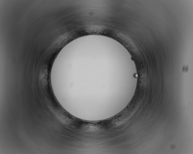 X0000101390498200807280941