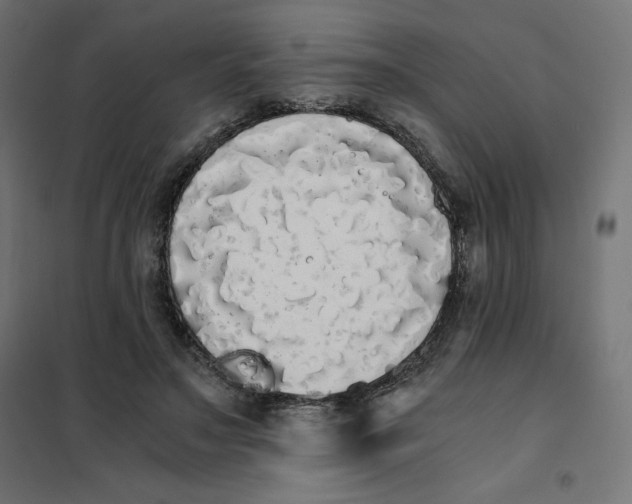 X0000101390499200807280941