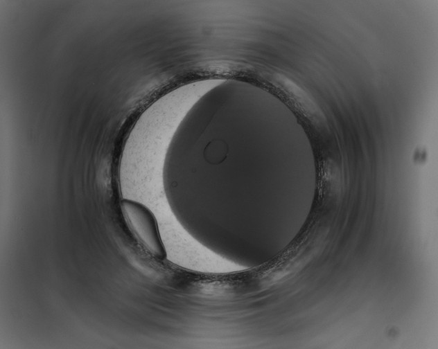 X0000101390500200807280941