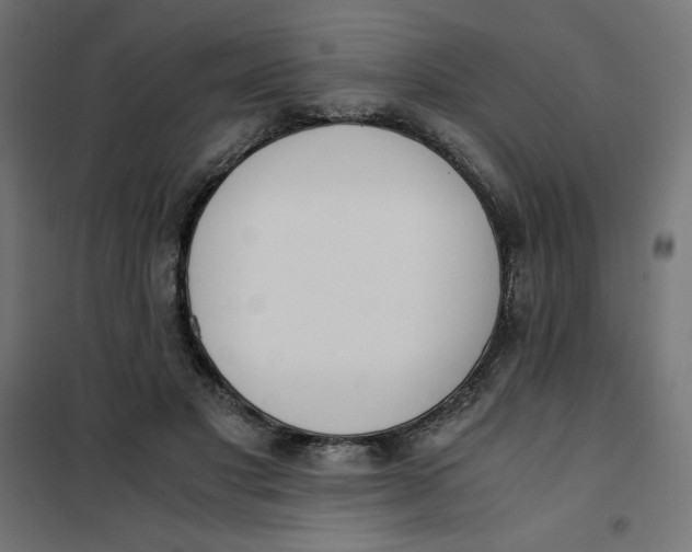 X0000101390501200807280941