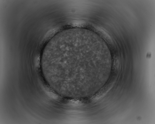 X0000101390502200807280941