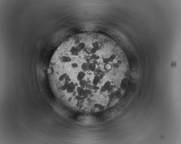 X0000101390503200807280941