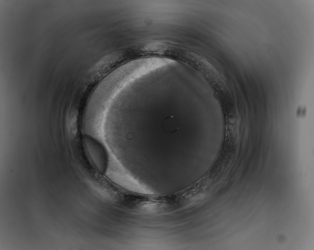 X0000101390504200807280941