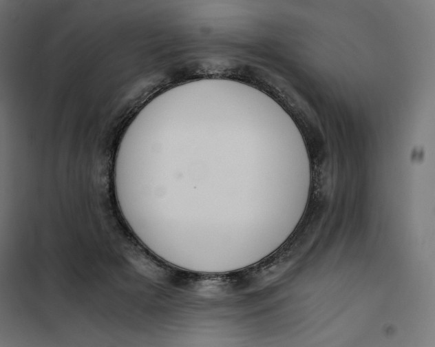 X0000101390505200807280941