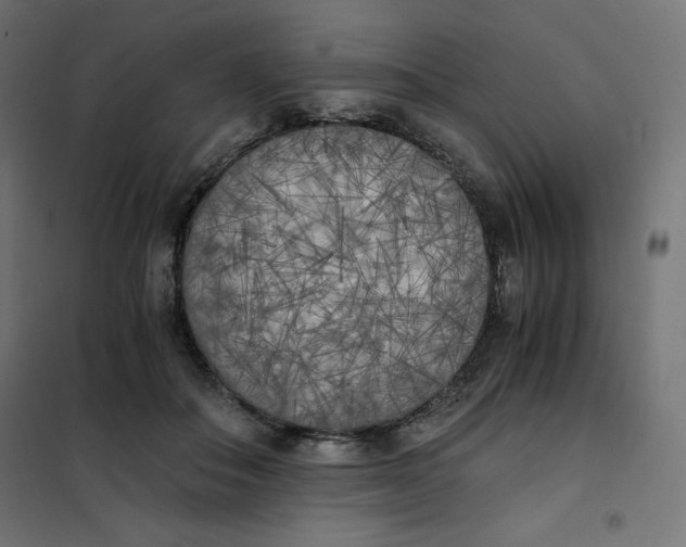 X0000101390506200807280941