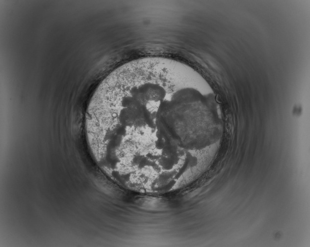 X0000101390507200807280941