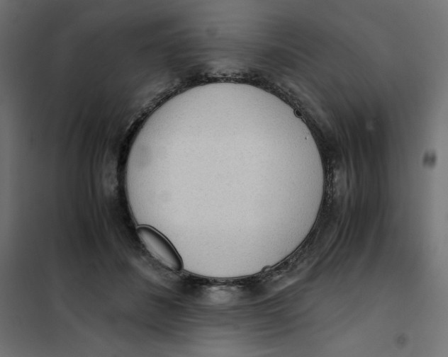 X0000101390508200807280941